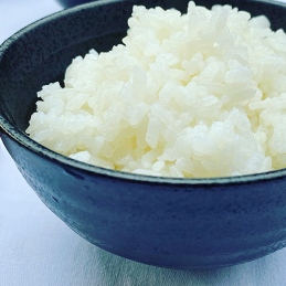 Riz blanc Koshihikari